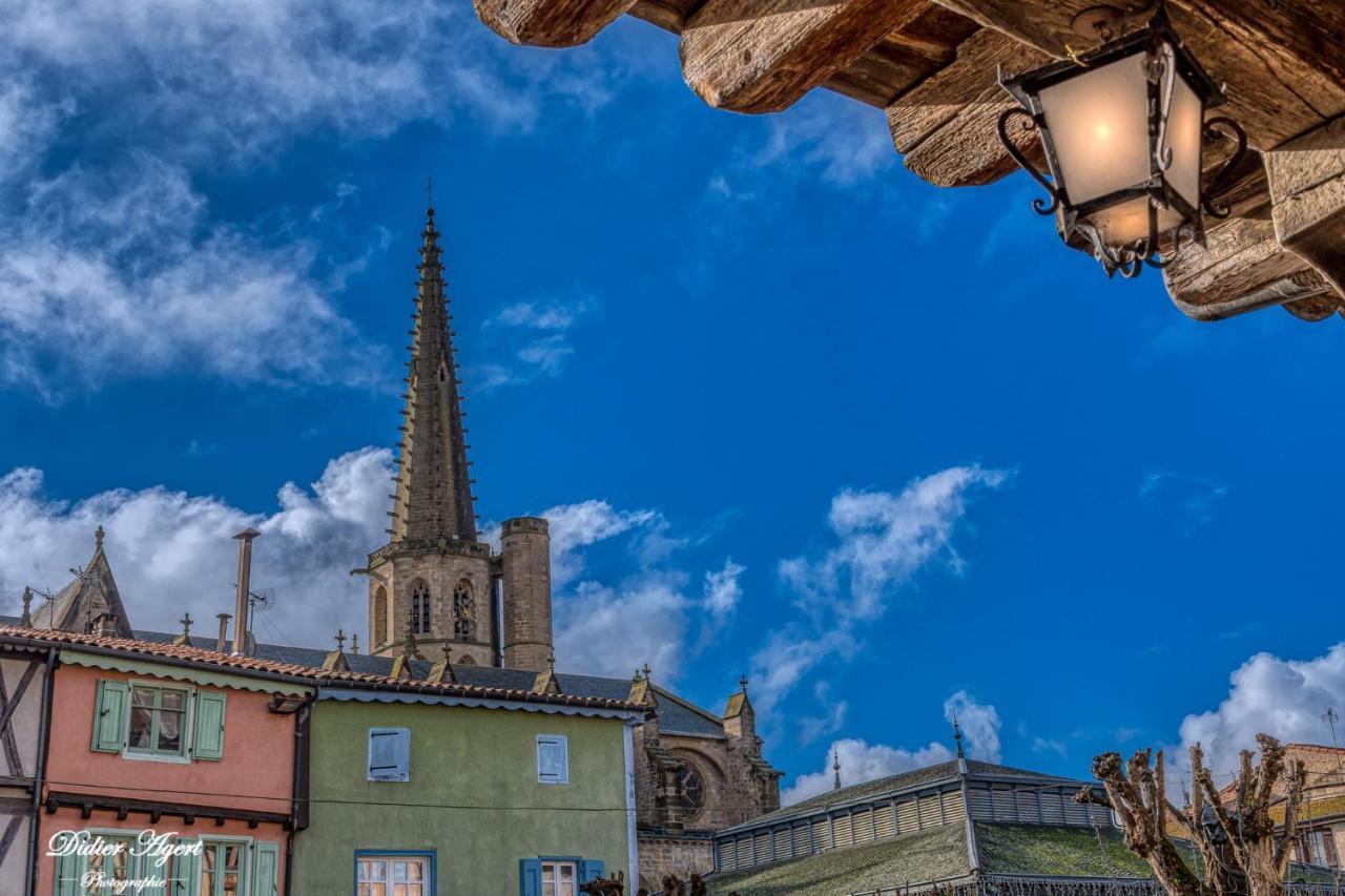 Superbe Appartement Plein Centre, Calme, Netflix Mirepoix  Exteriér fotografie